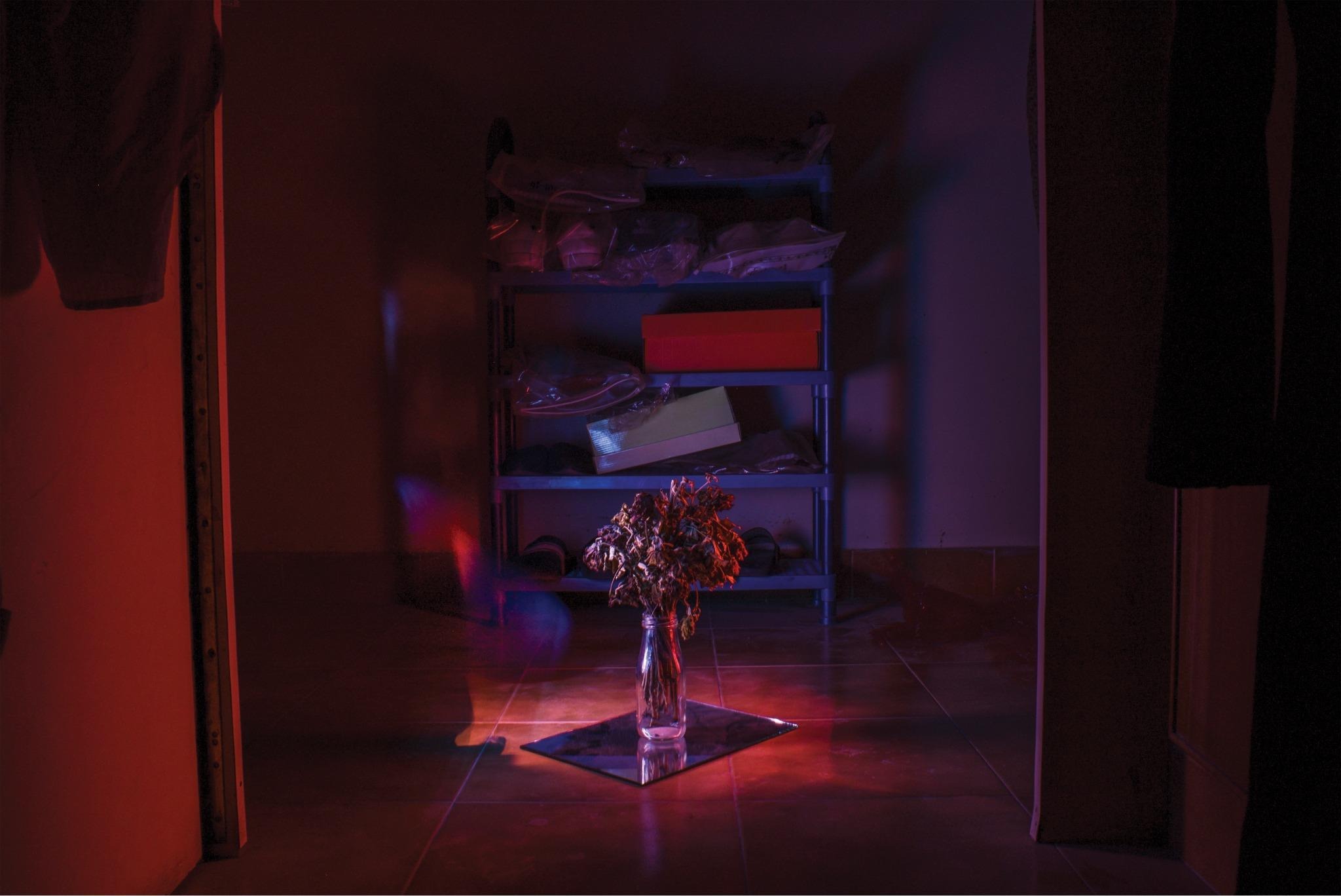 A glass vase of dried roses on a mirrored tile in a red-lit storeroom doorway