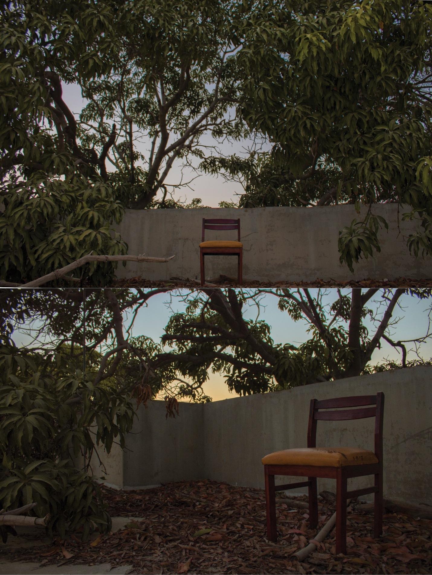 An empty yellow-seated chair against a concrete yard wall under a mango tree at dusk, shown twice