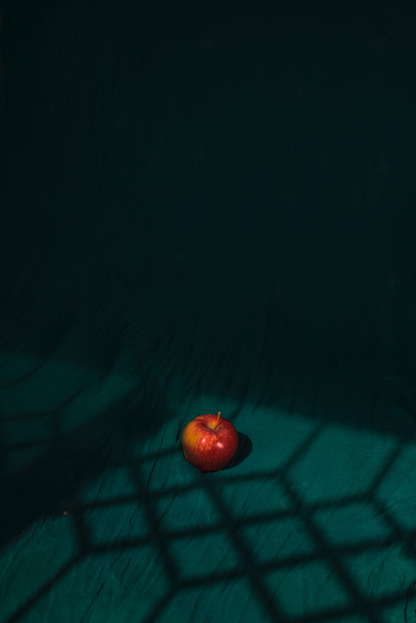 A single red apple resting on dark green cloth, the of a barred window falling across it